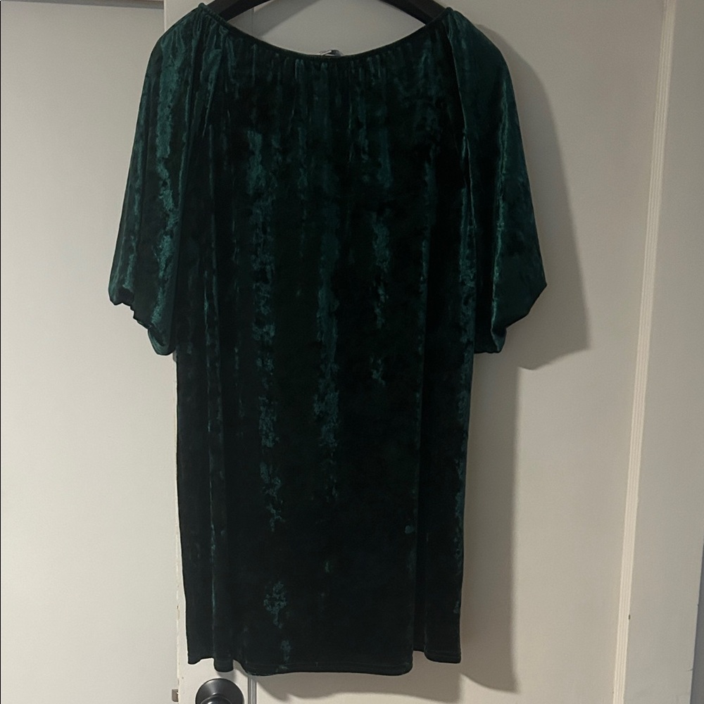 Elegant Green Velvet Women's Dress